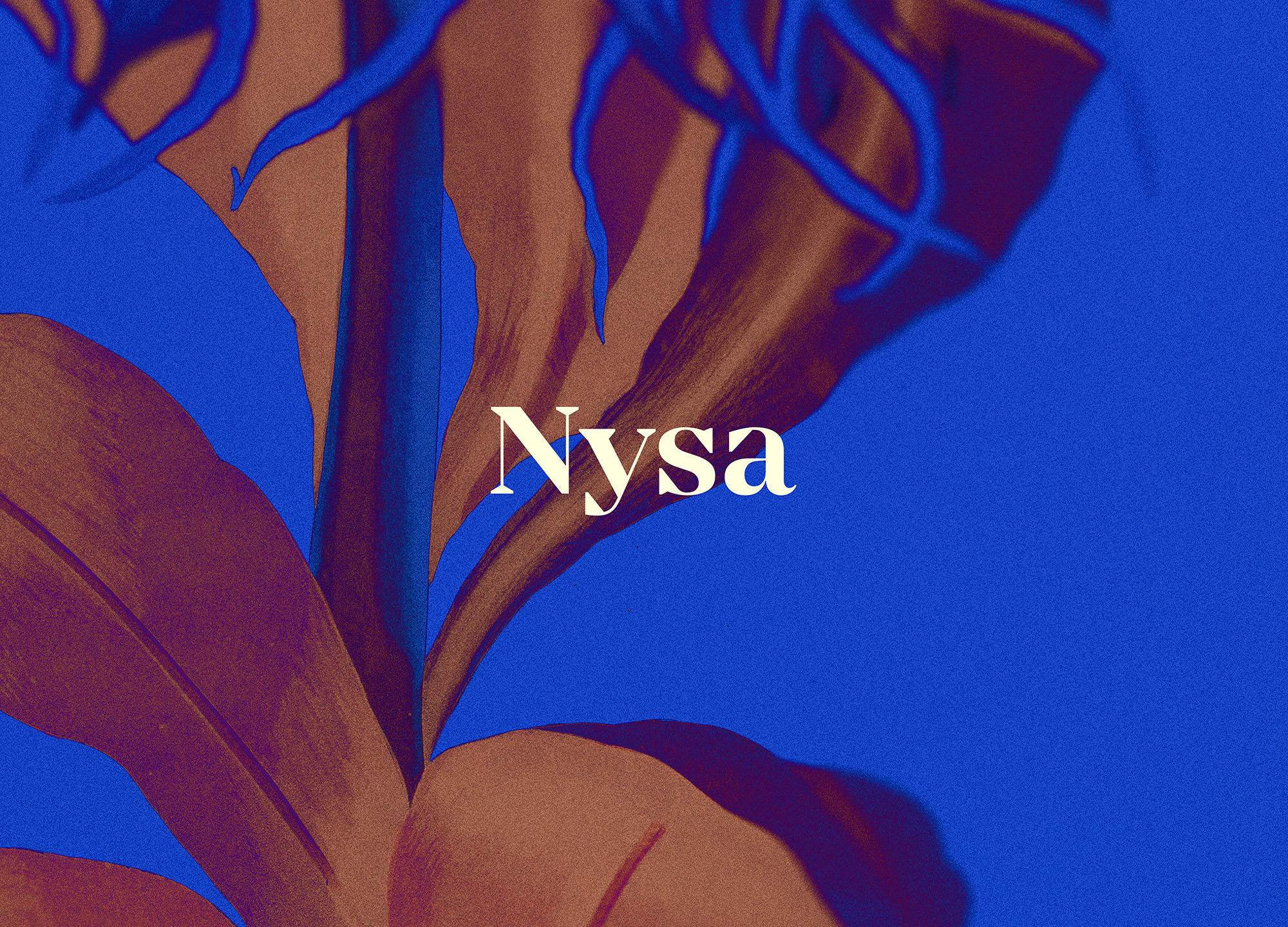 NYSA-PAYSAGE