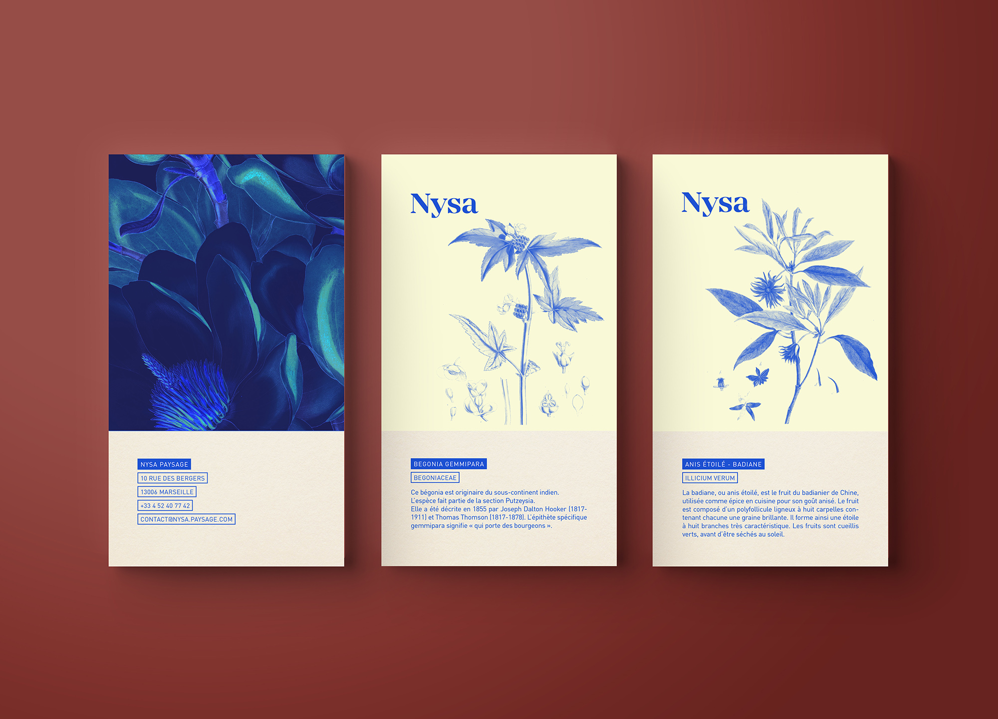 NYSA-PAYSAGE