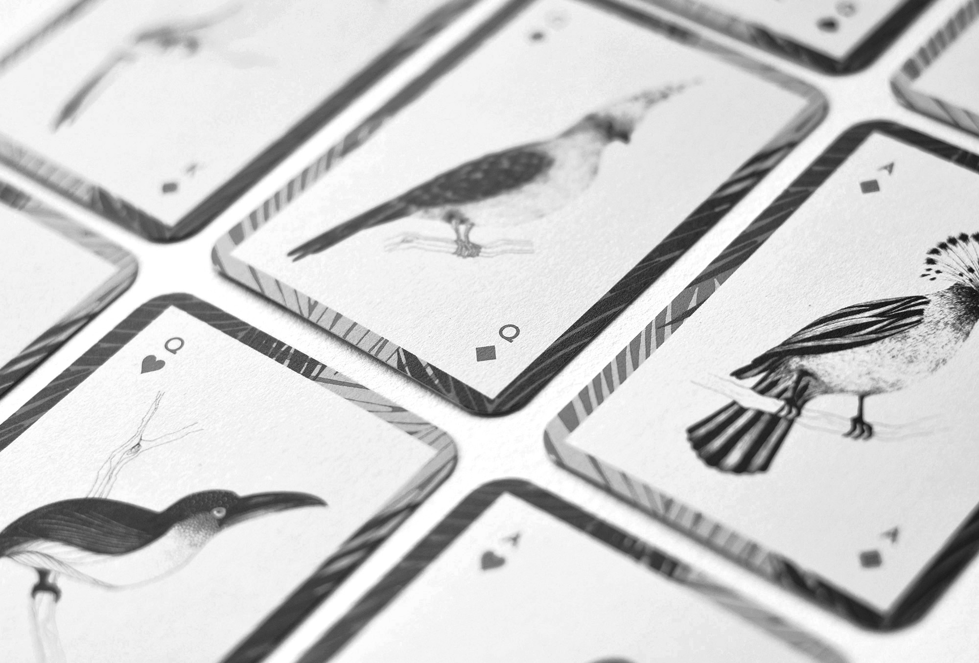 Jeu des oiseaux