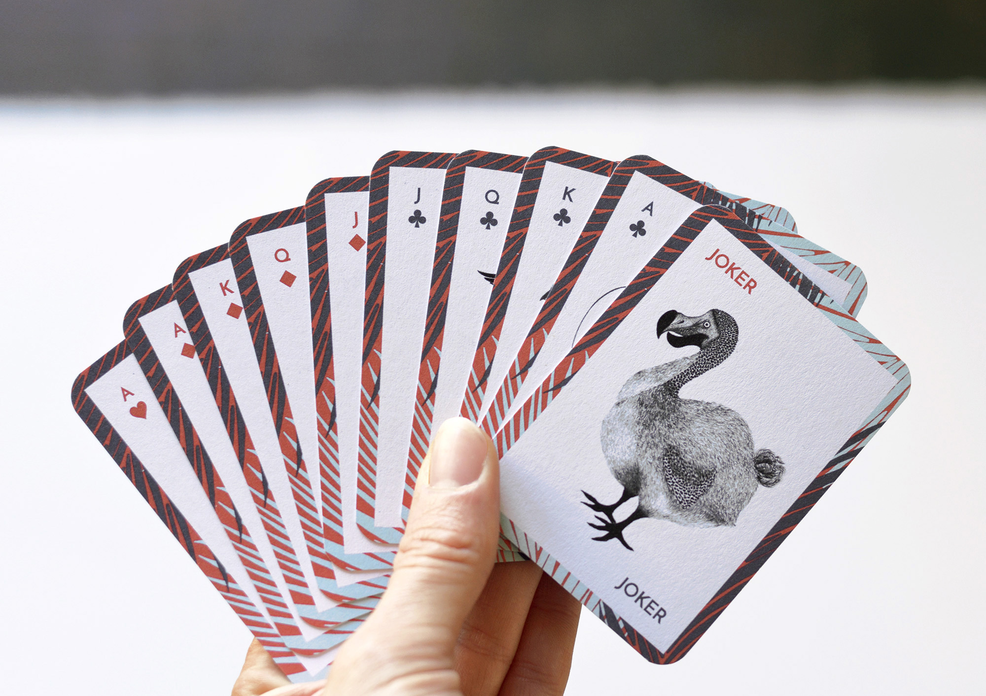Jeu des oiseaux