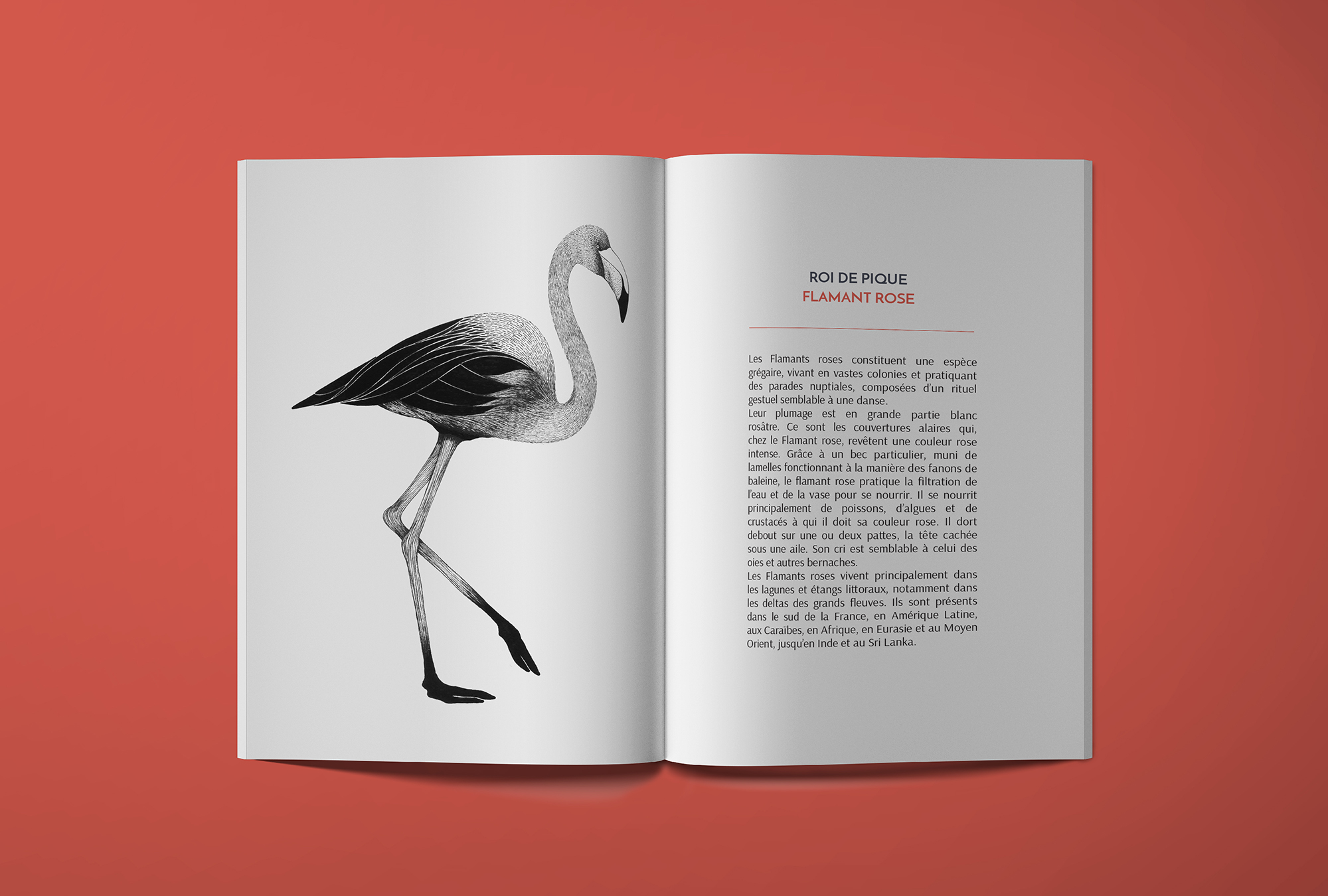 Jeu des oiseaux